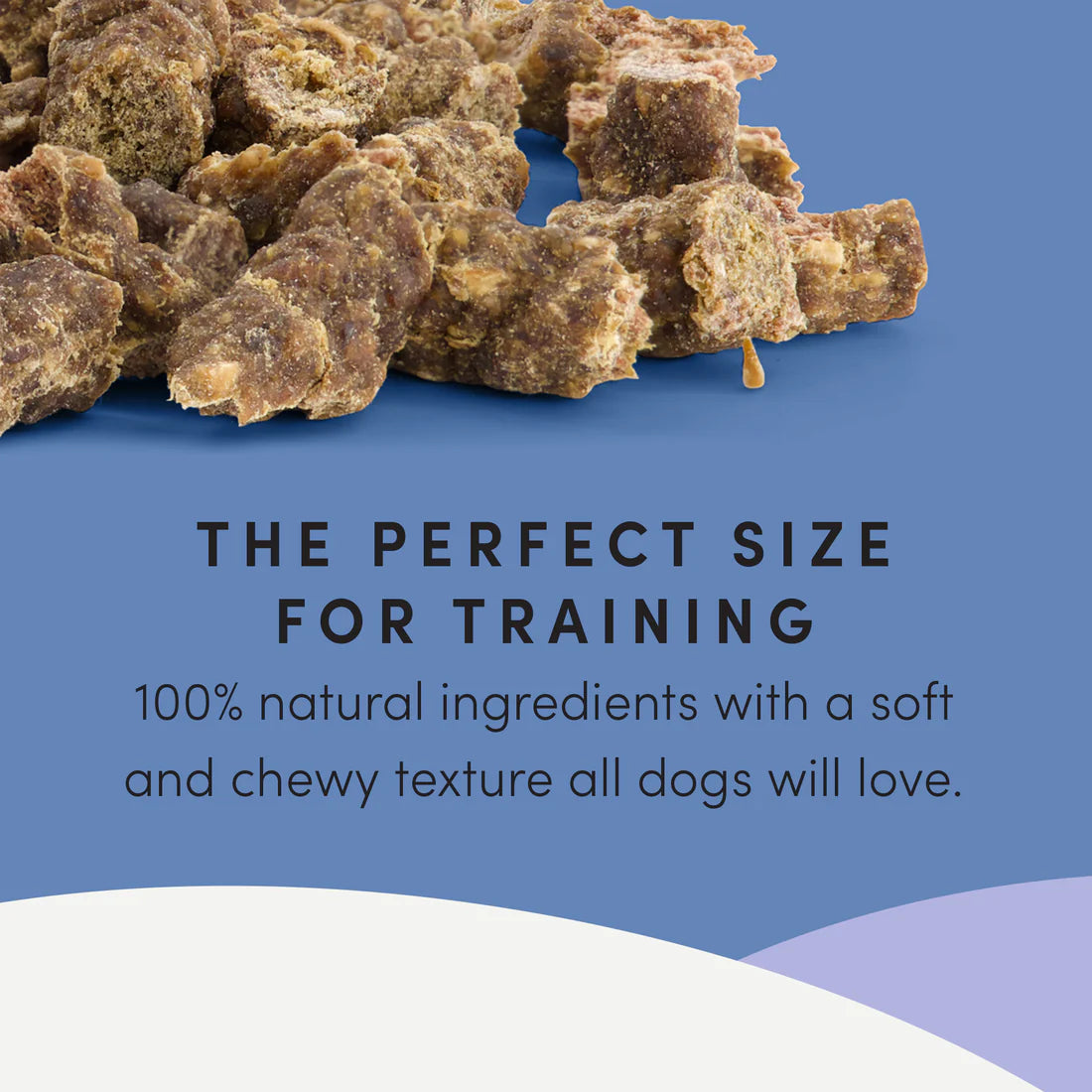 Semi Moist Beef Mini Trainers