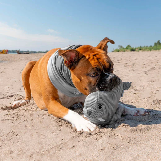 Freeze & Chill Cooling Pal Toy