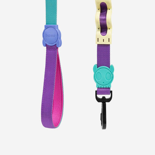 Ruff Leash Shockwave