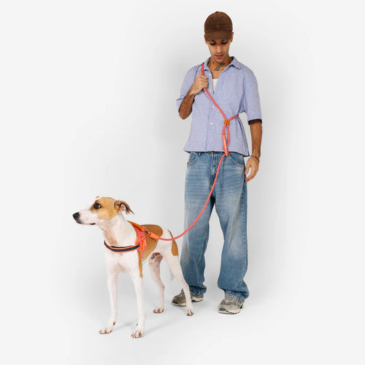 Gazelle Hands-Free Leash