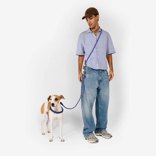 Tokyo Hands-Free Leash