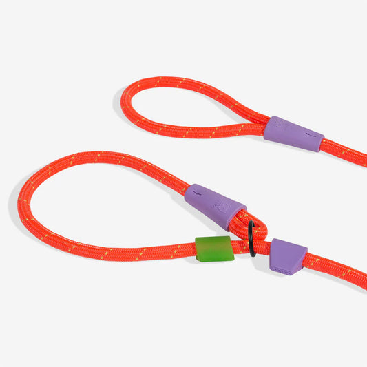 Everest Slip-N-Lock Leash
