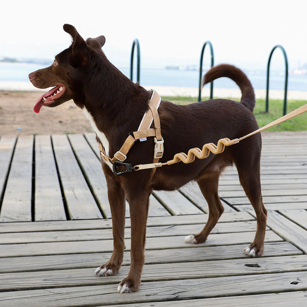 SofterWalk Harness Dune