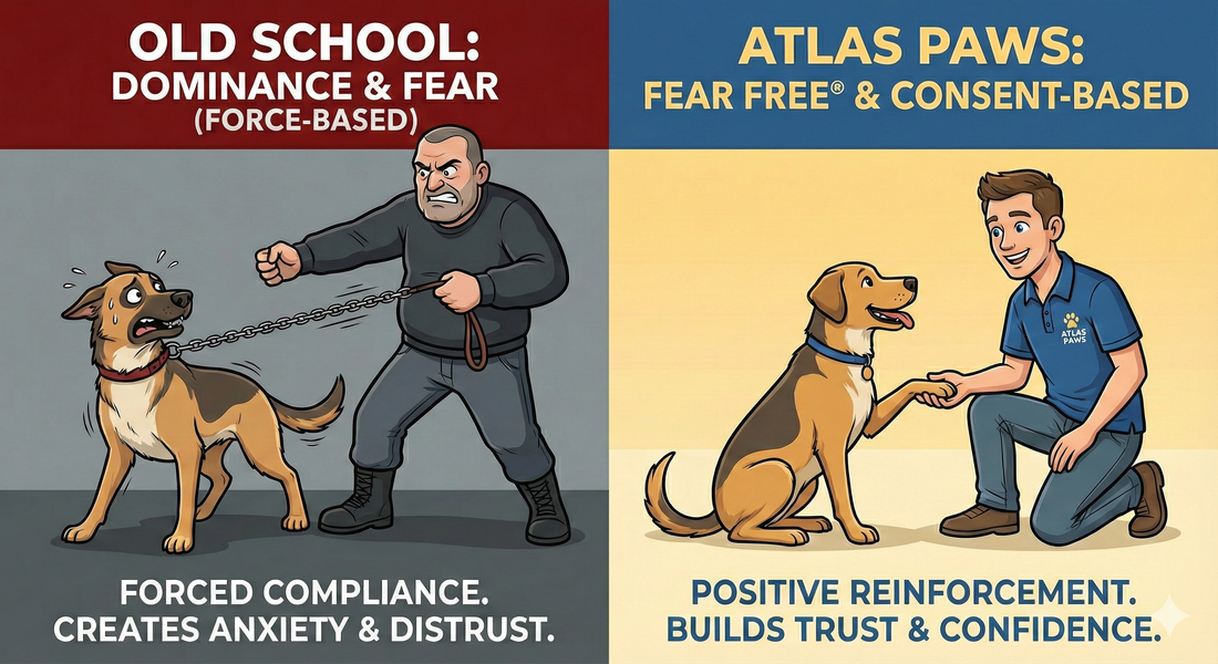 Part 10: What Does "Fear Free" Actually Mean for Your Dog?
