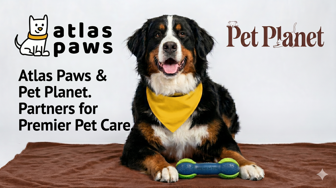 A Match Made in Dog Heaven: Atlas Paws & Pet Planet Join Forces!