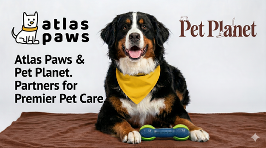 A Match Made in Dog Heaven: Atlas Paws & Pet Planet Join Forces!