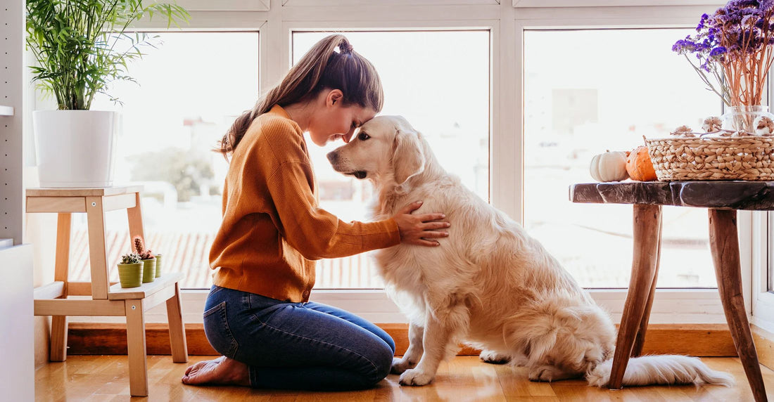 Unleashing the Power of Dogs: How Our Furry Friends Boost Mental Health 🐶