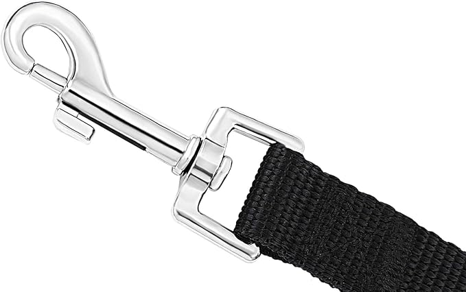 Recall Training 30 ft Long Leash