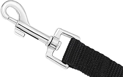 Recall Training 30 ft Long Leash