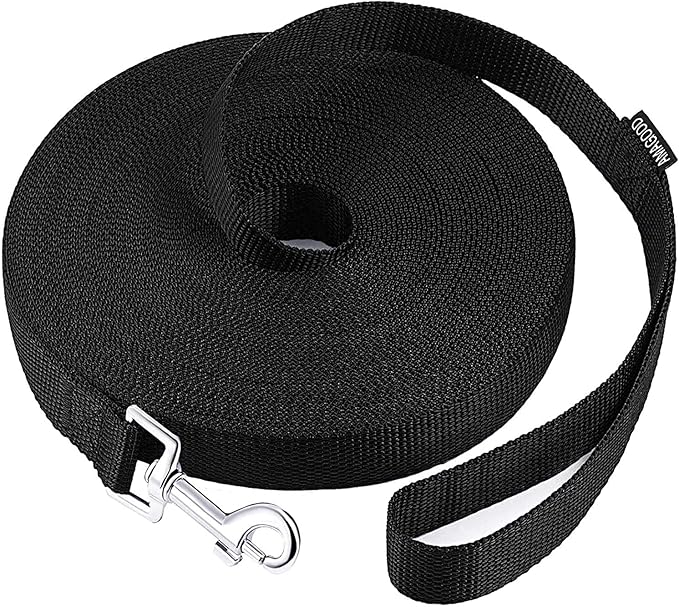 Recall Training 30 ft Long Leash