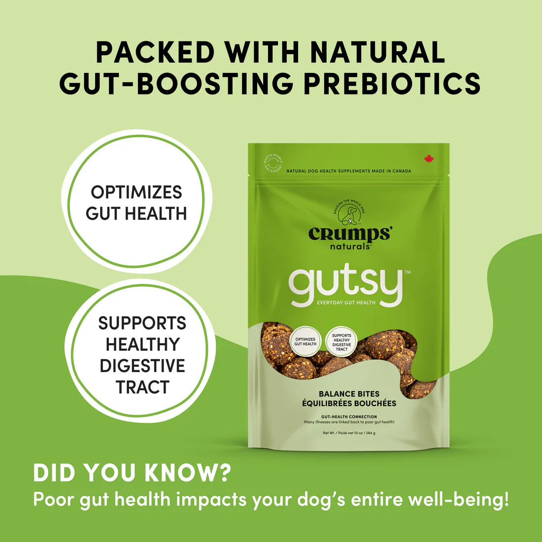 Gutsy Balance Bites