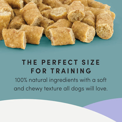 Semi Moist Duck Mini Trainers