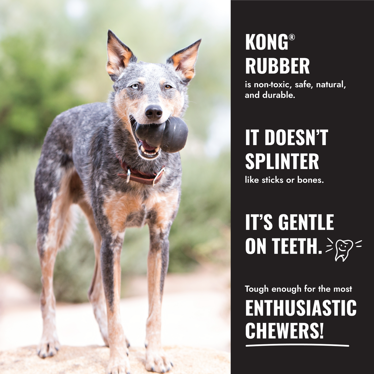 KONG Extreme Ball w/Rope