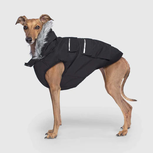 Everest Explorer Jacket