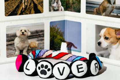 NEW LIMITED EDITION Pawty Animals Eco-Friendly Lover Friendship Bracelet - Rope Dog Toy