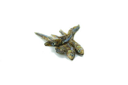 Dried Sardines 90g - Case of 12