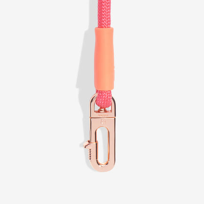 Gazelle Hands-Free Leash
