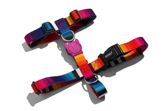 Harness Prisma