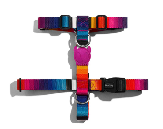 Harness Prisma