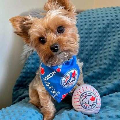 Toronto Woofjays Dog Toy