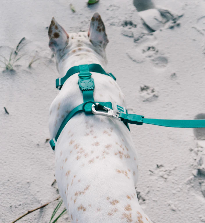 Neopro Amazonia Harness