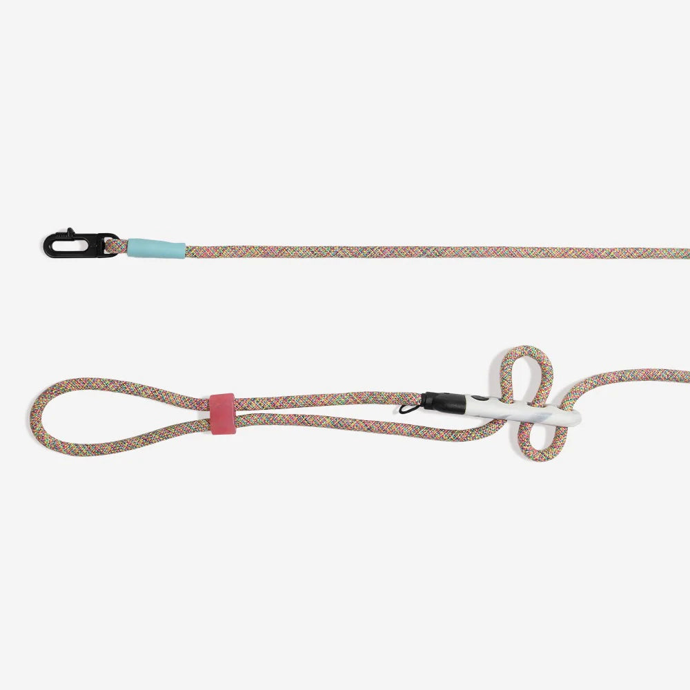 Hands-Free Leash Gravity