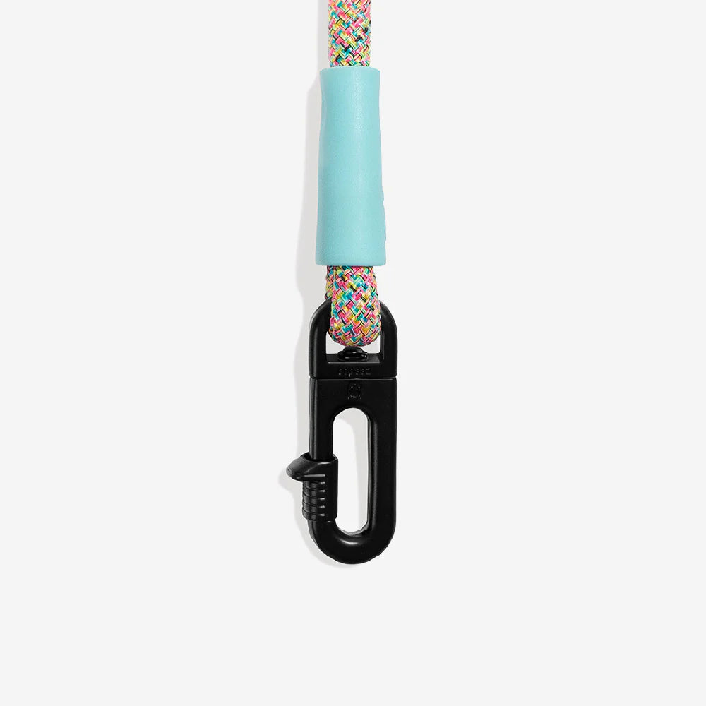 Hands-Free Leash Gravity
