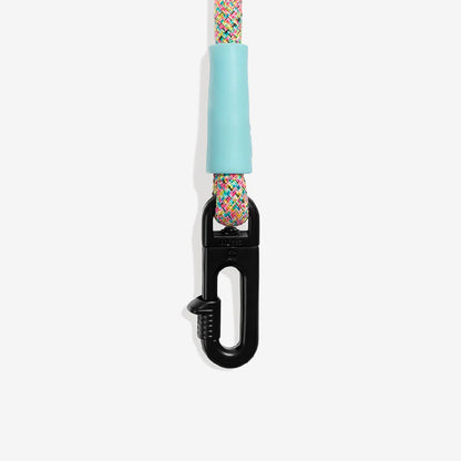 Hands-Free Leash Gravity