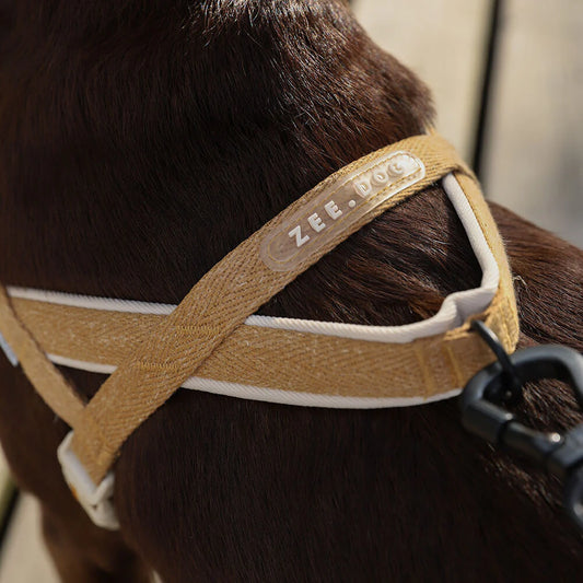 SofterWalk Harness Dune