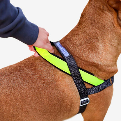 NOX SofterWalk Harness